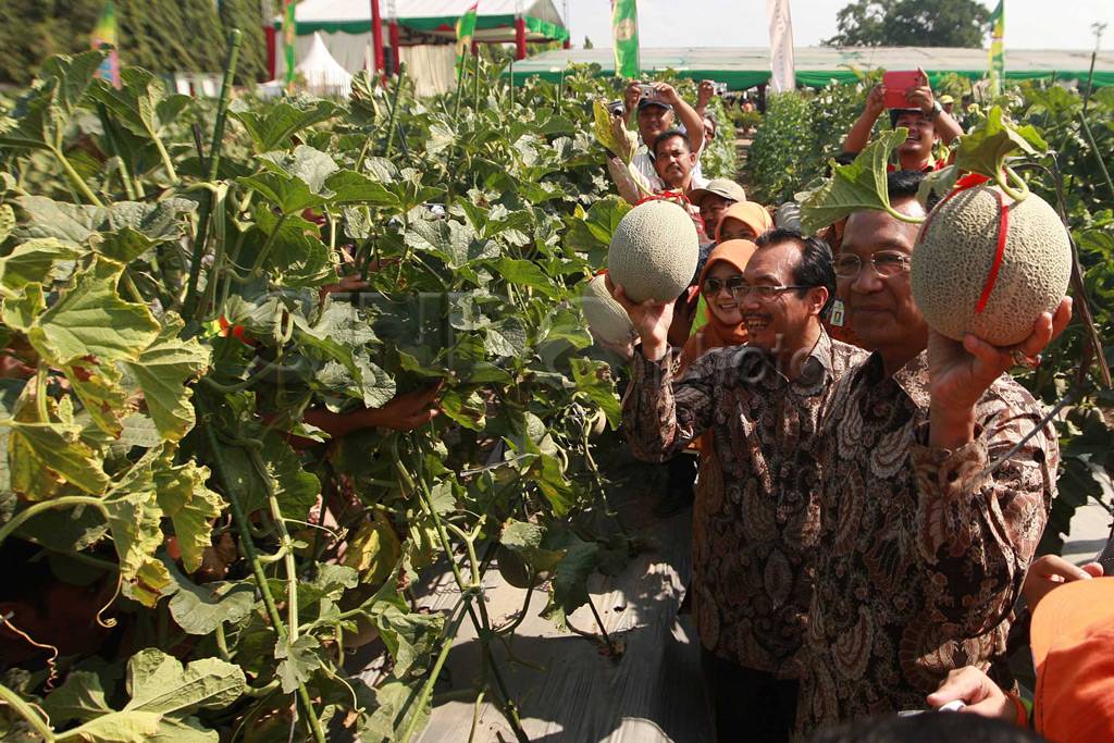 Mentan dan Sultan buka...
