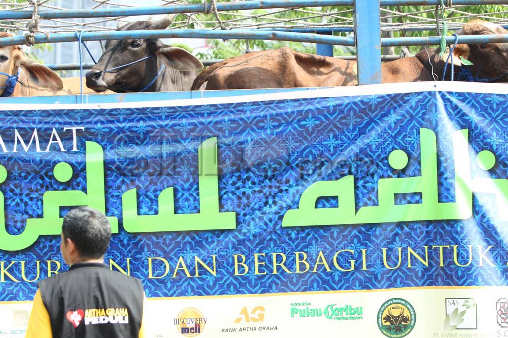 Hewan kurban untuk keluarga...