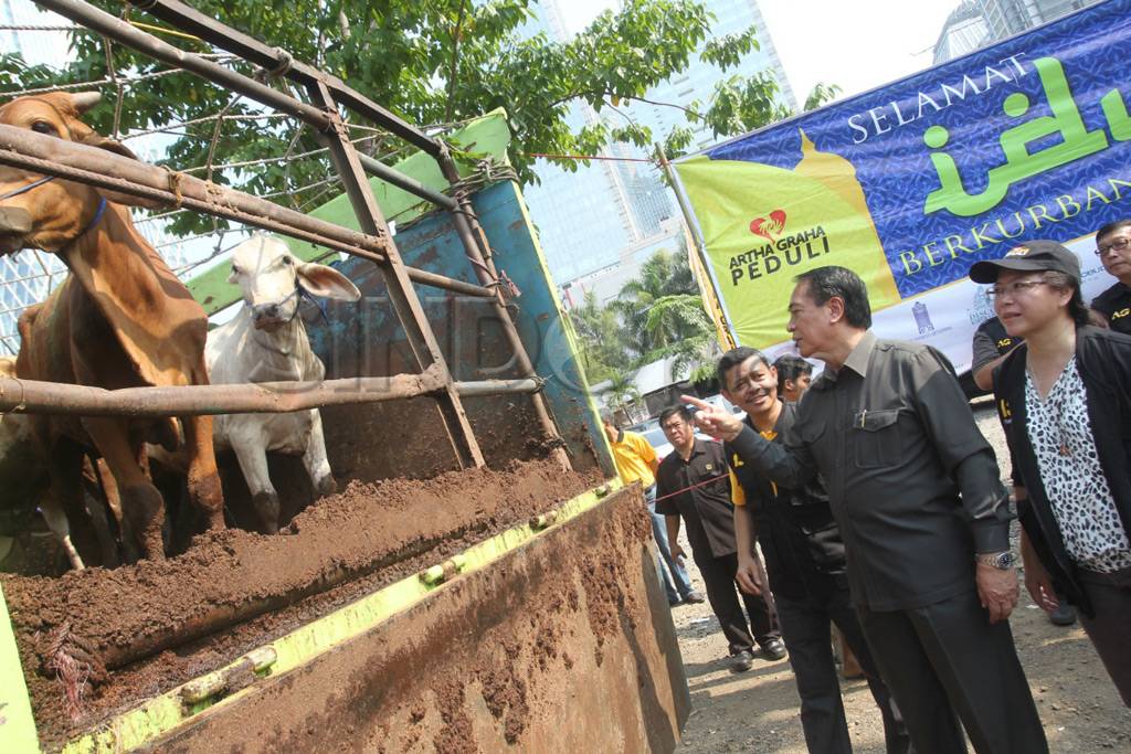 Hewan kurban untuk keluarga...