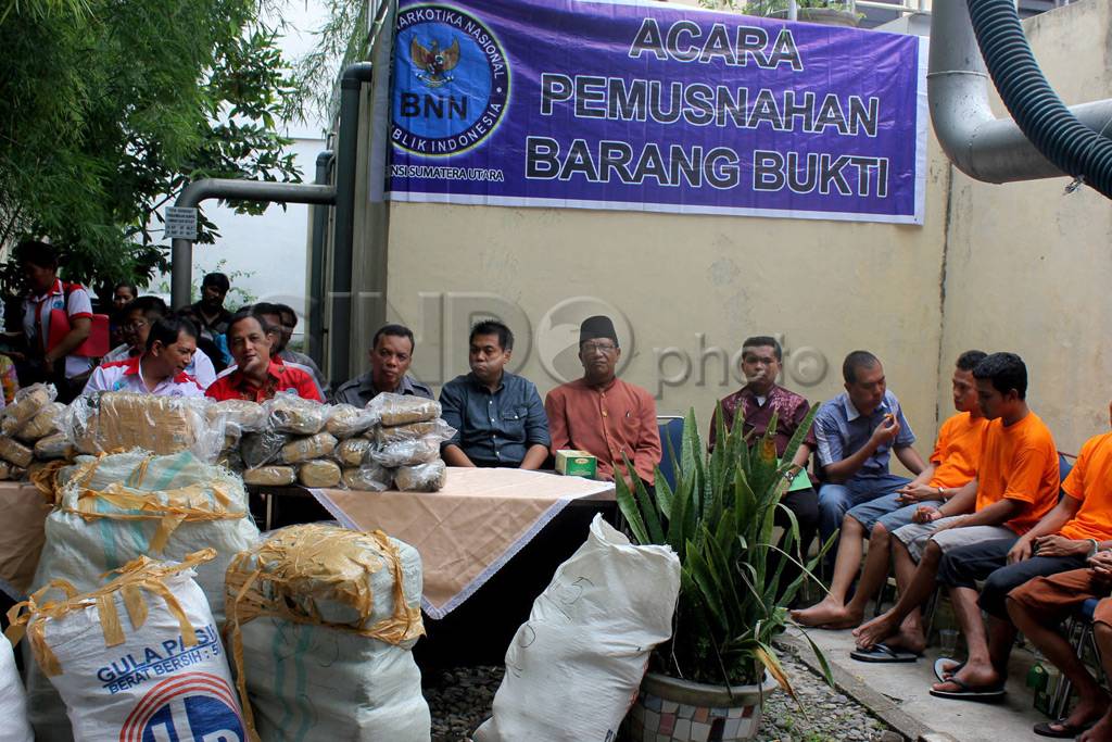 278 kg ganja dimusnahkan...