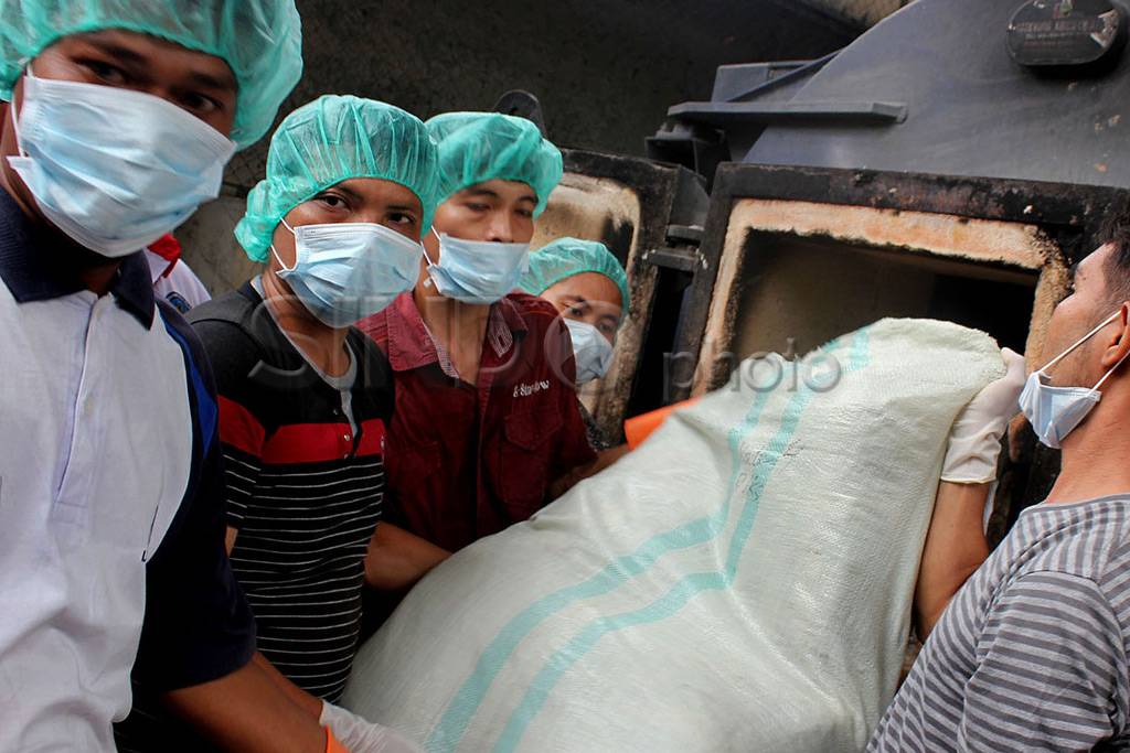 278 kg ganja dimusnahkan...