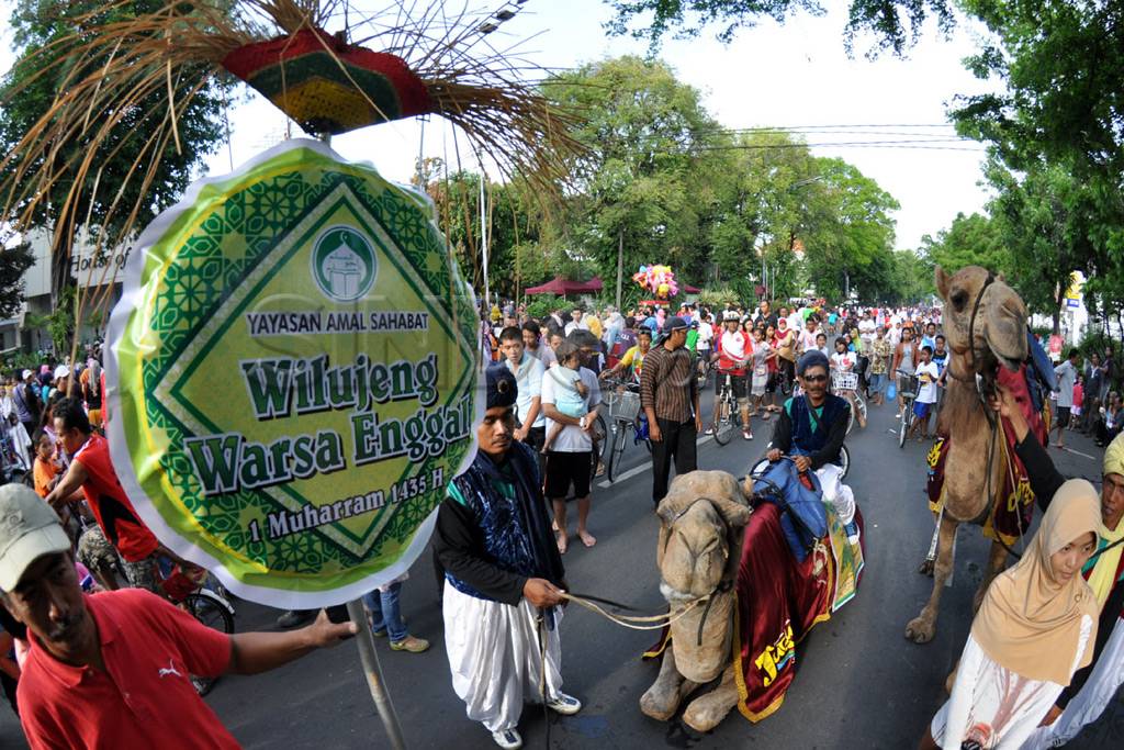 Sepasang unta ramaikan...