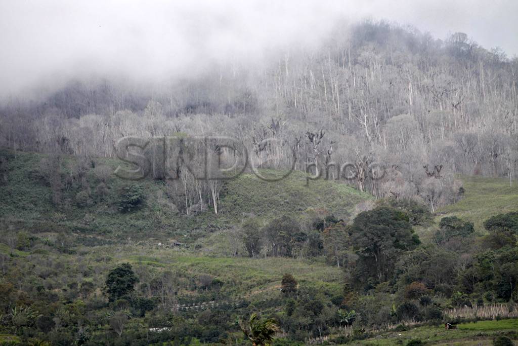 Warga sekitar Sinabung...