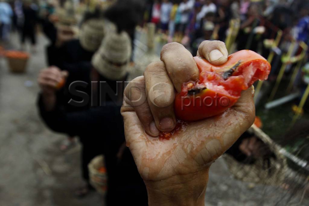 Perang Tomat sebagai...