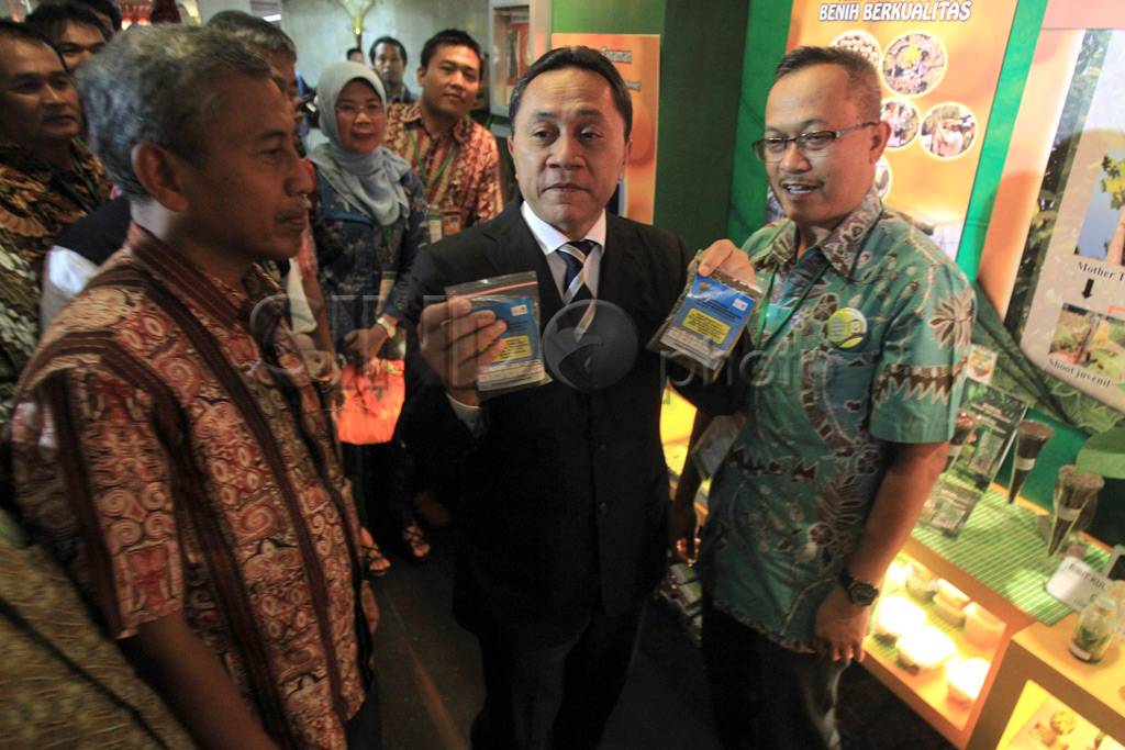 Menhut sosialisasi tanaman...