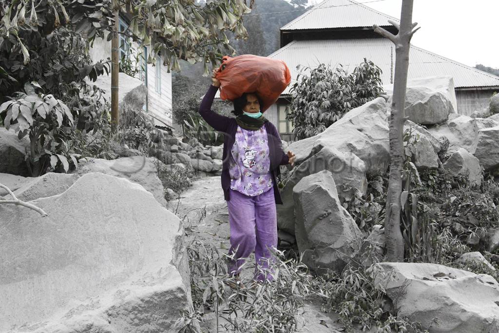Abu vulkanik Sinabung...