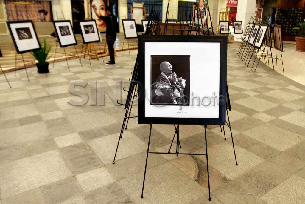 Pameran Salon Foto Indonesia...