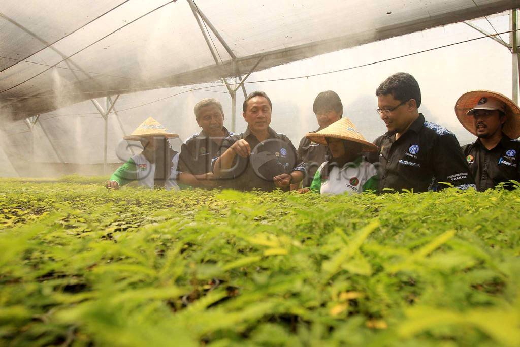 Menhut buka lokasi persemaian...
