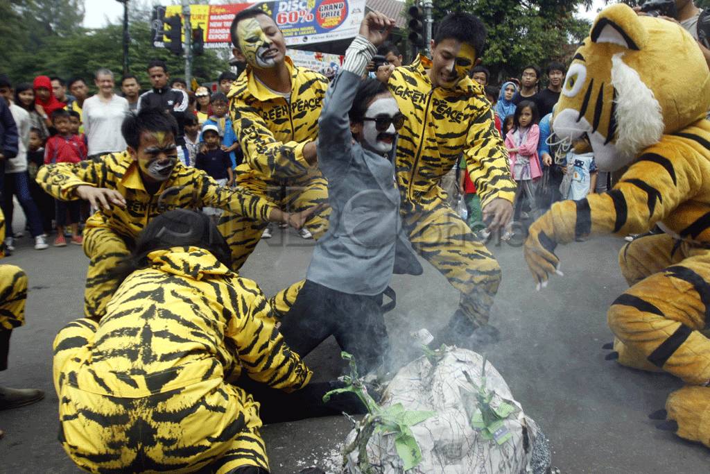 Selamatkan rumah Harimau...
