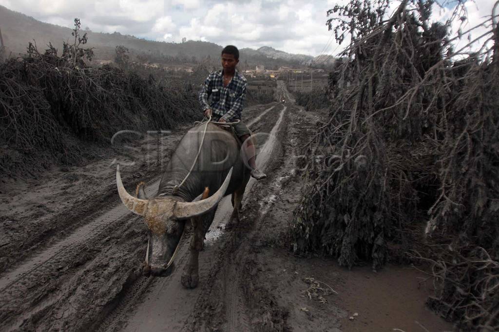 Lima desa sekitar Sinabung...