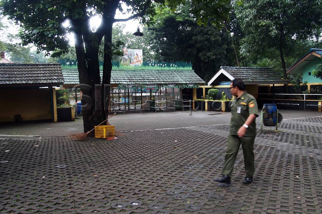 Libur Satwa, Ragunan...