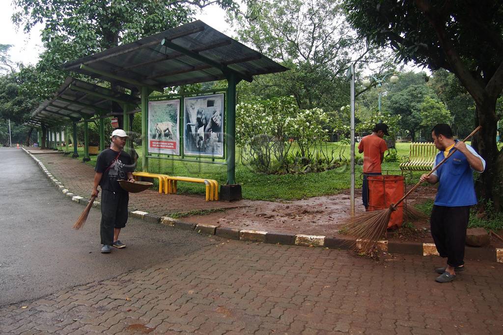 Libur Satwa, Ragunan...
