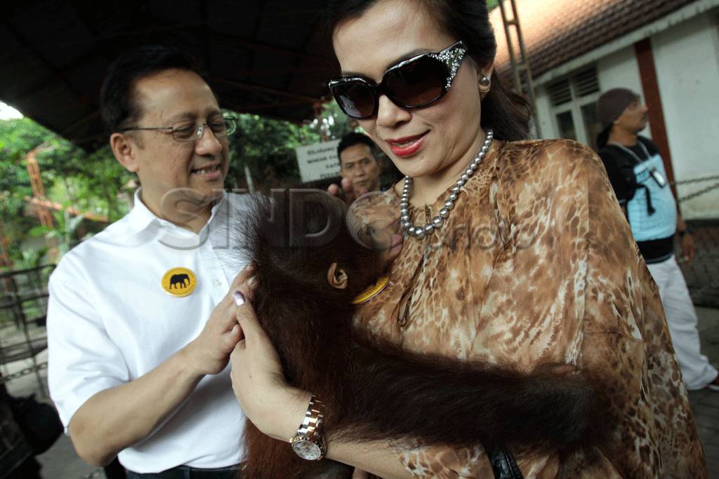 Irman Gusman dukung...