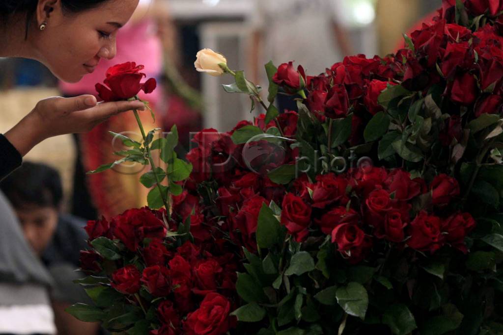Jelang Hari Valentine...