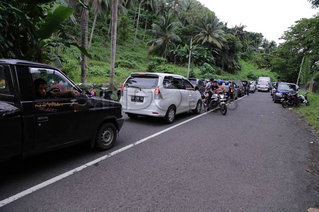 Paus putih 40 ton terdampar...