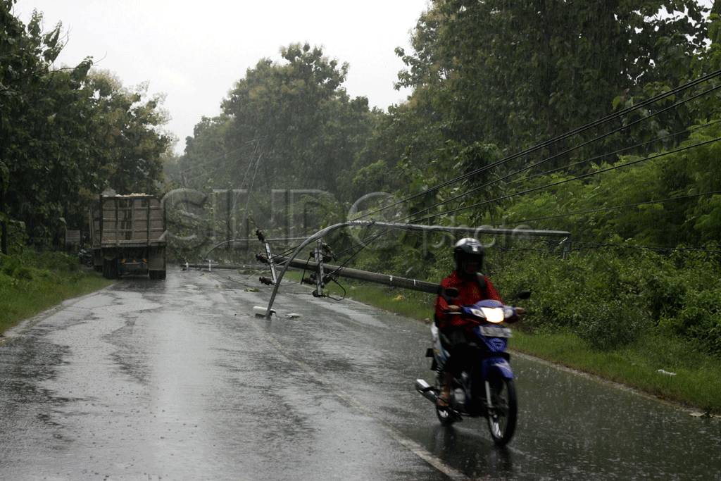 Tiang listrik dan pohon...