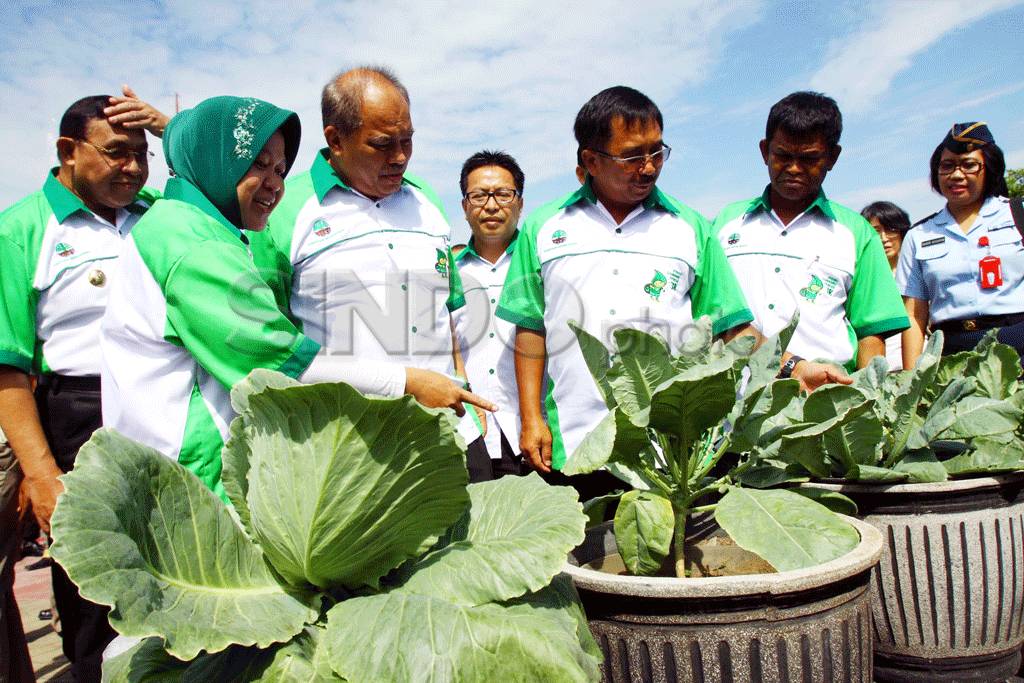 Deklarasi Gerakan Indonesia...
