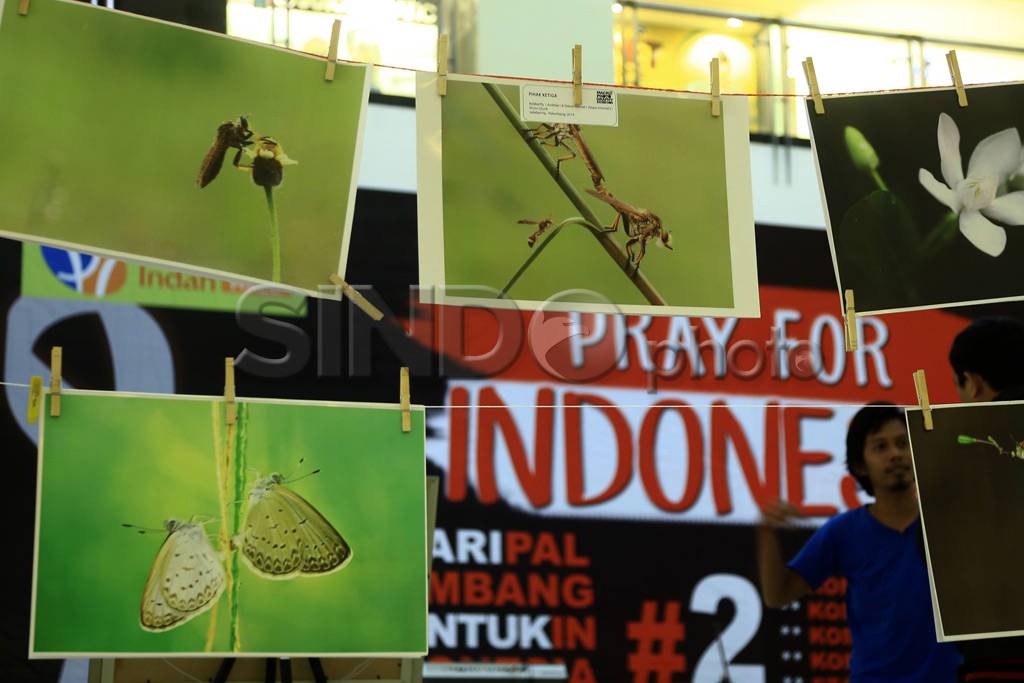 Galang dana bencana...