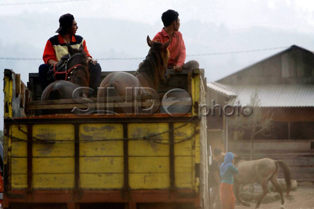 Pacu kuda tradisional...