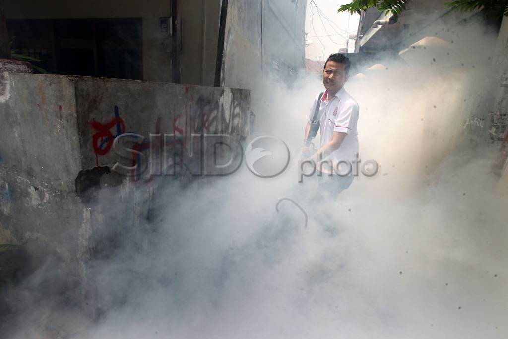 Perindo gelar fogging...