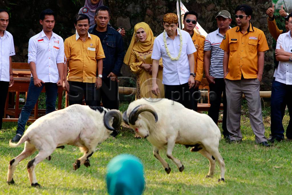 HT hadiri bakti sosial...