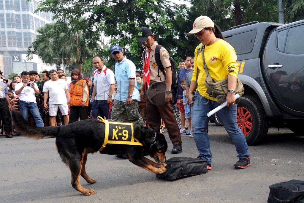 SAR Dog beraksi si bundaran...