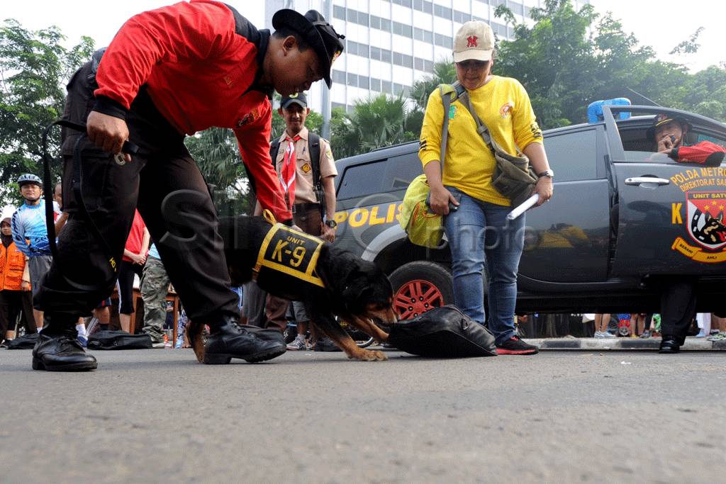 SAR Dog beraksi si bundaran...