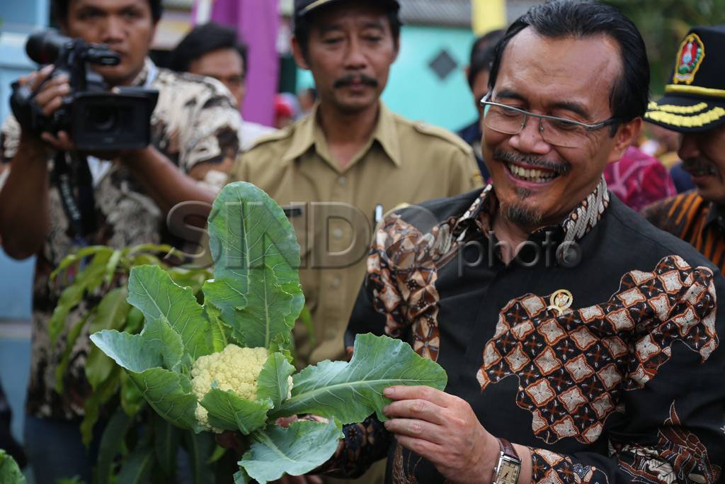 Mentan canangkan gerakan...