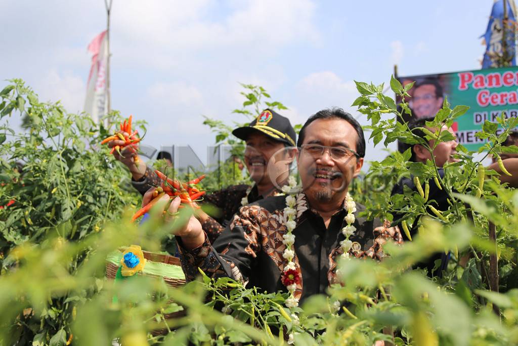 Mentan canangkan gerakan...
