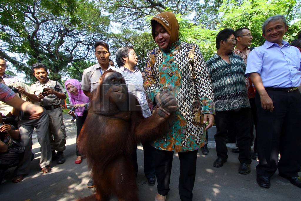 Wali kota Surabaya kunjungi...
