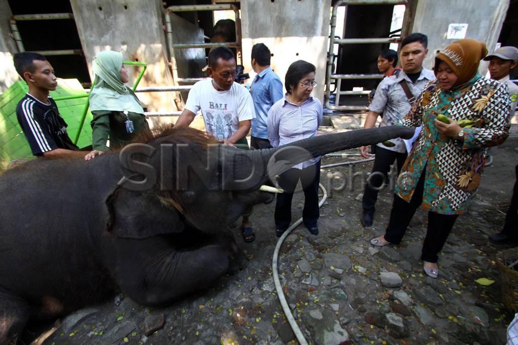 Wali kota Surabaya kunjungi...