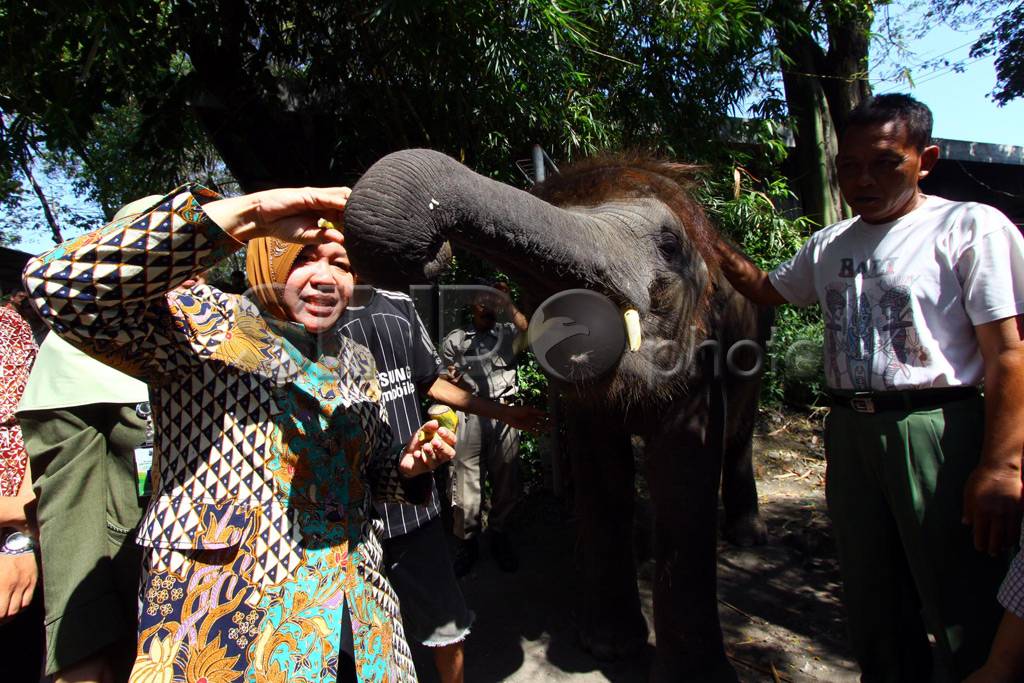 Wali kota Surabaya kunjungi...