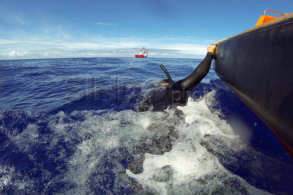 Pencarian MH370, Tim...