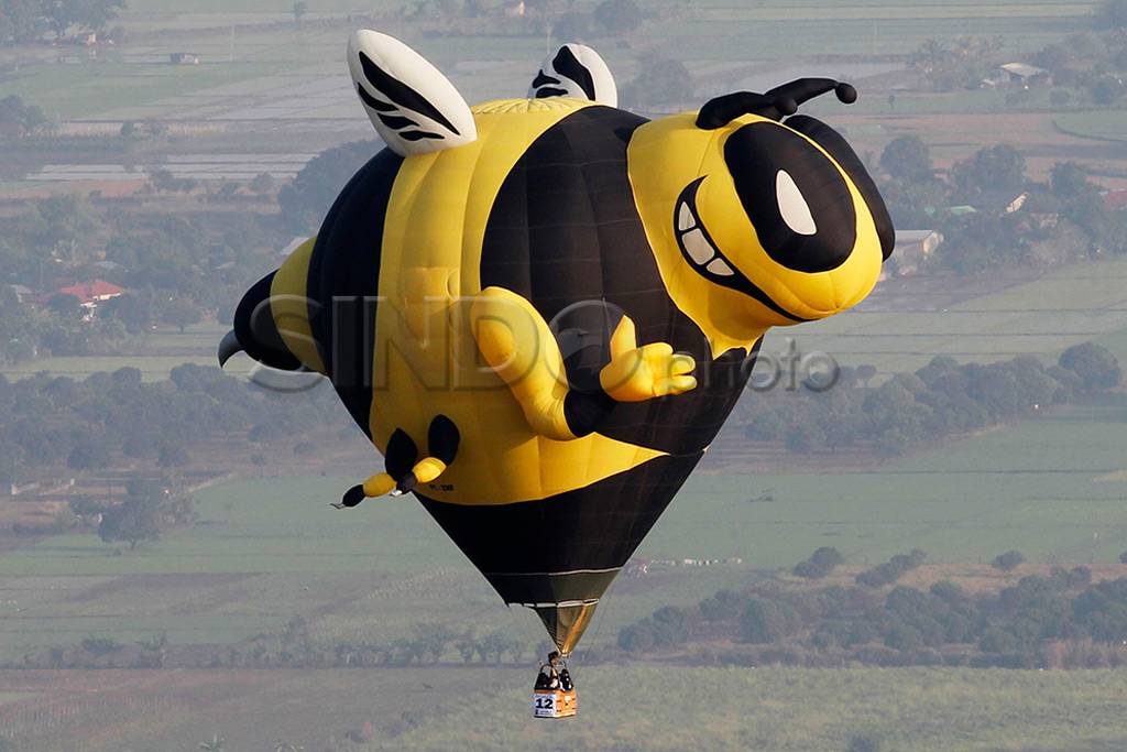 Festival balon udara...
