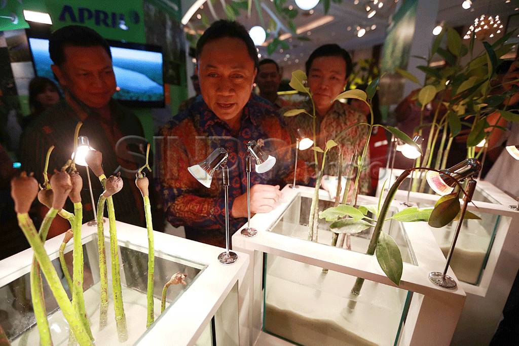 Menhut buka pameran...