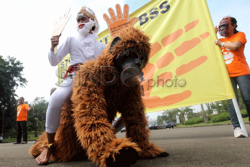 Selamatkan orangutan,...
