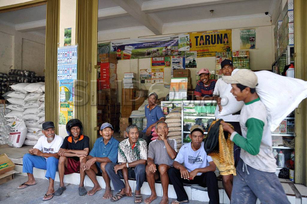 Pupuk langka, petani...