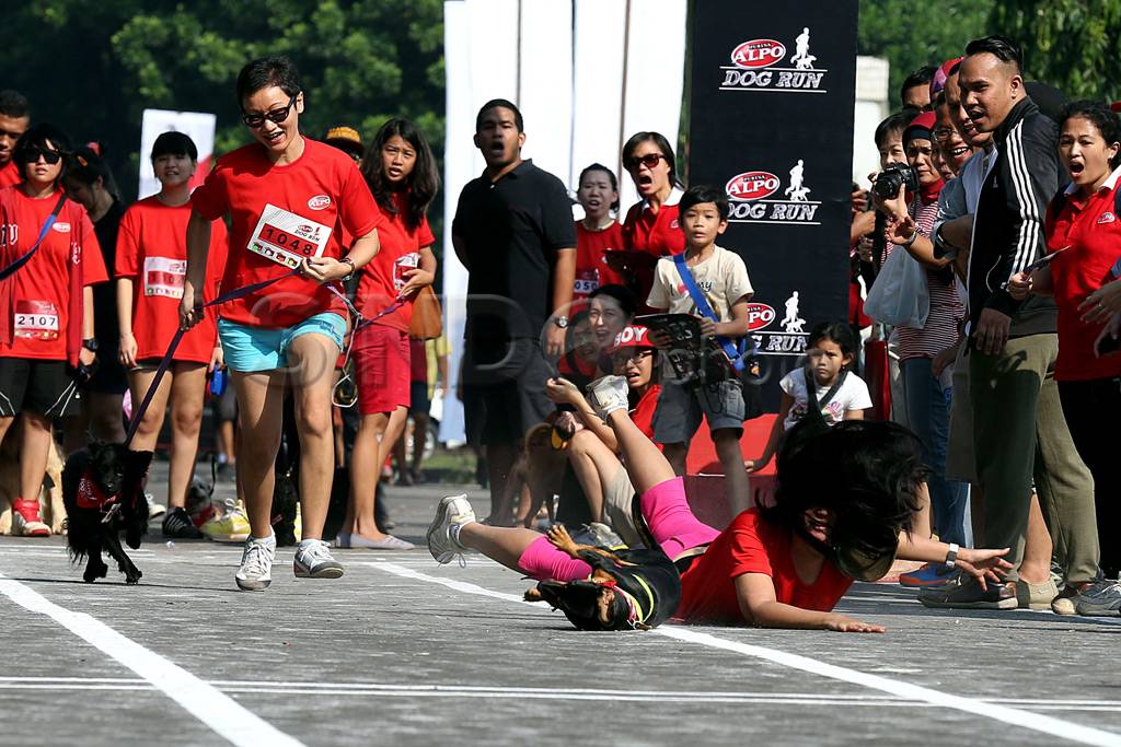 Lomba lari anjing pertama...