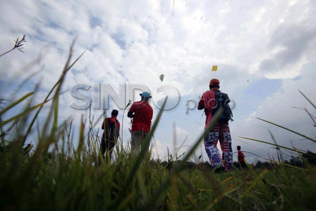 Festival layang-layang...