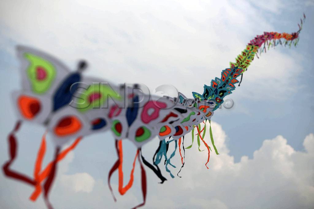 Festival layang-layang...