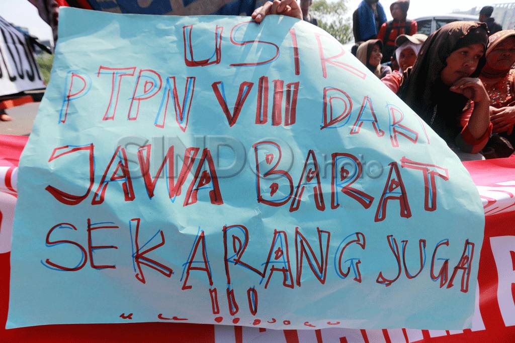 Ratusan petani tuntut...