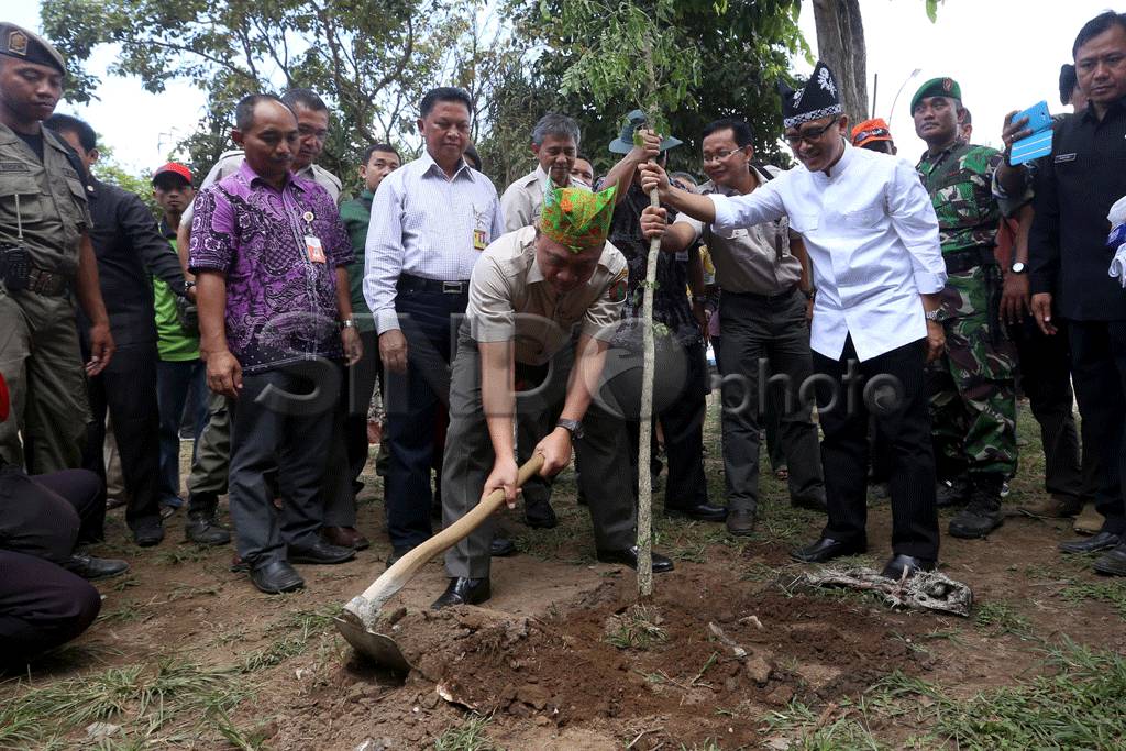 Menhut lepas ratusan...