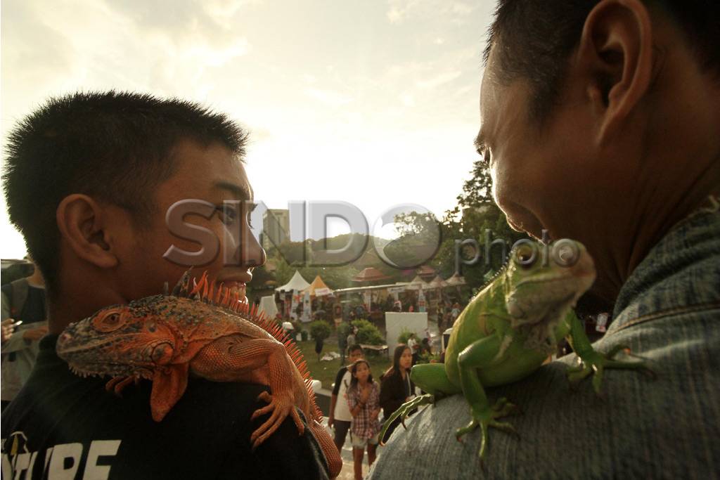 Festival Komunitas di...