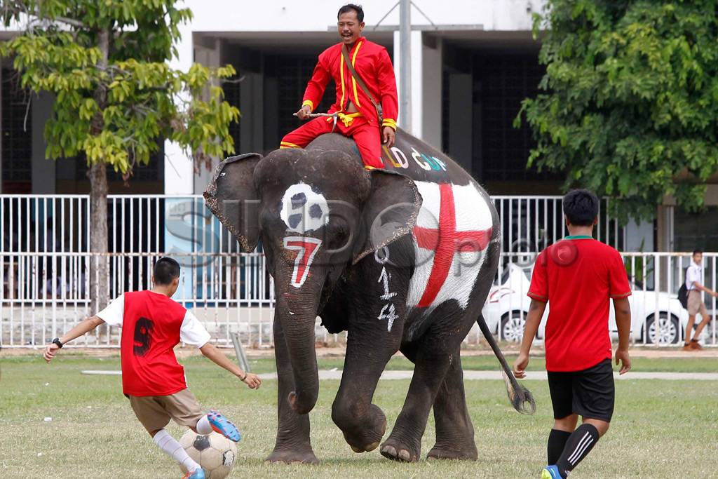 Pelajar Thailand Tanding...