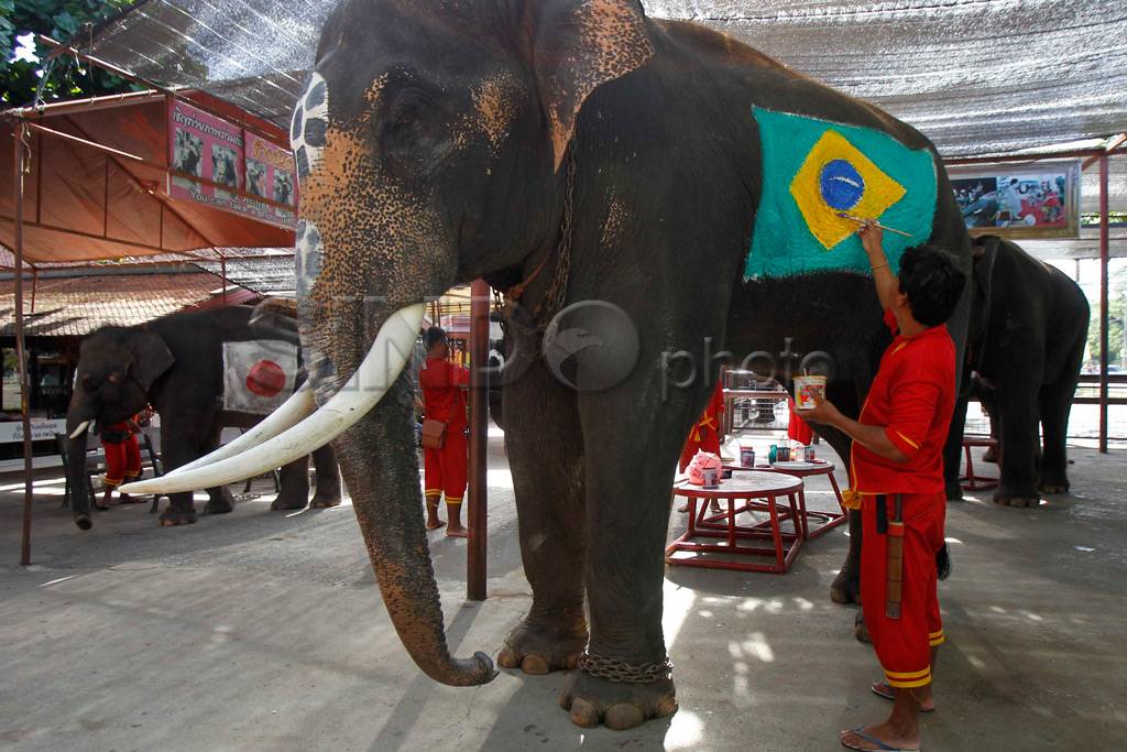 Sepak Bola Gajah vs...