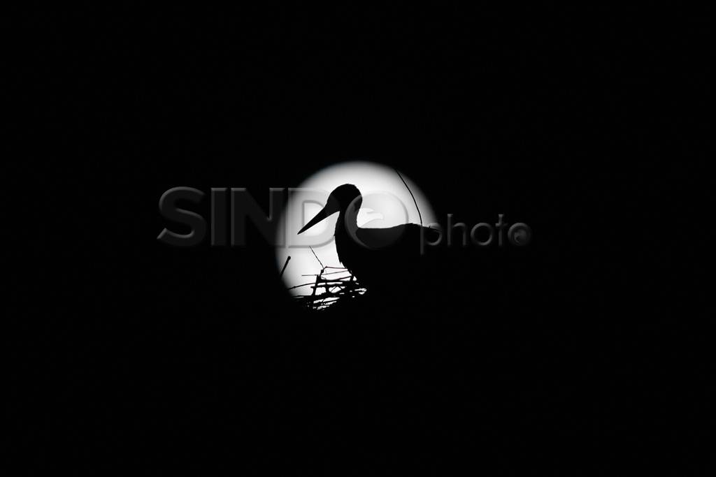 Pesona Supermoon di...