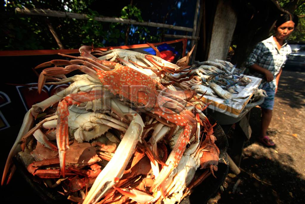 Rajungan Totol Putih...