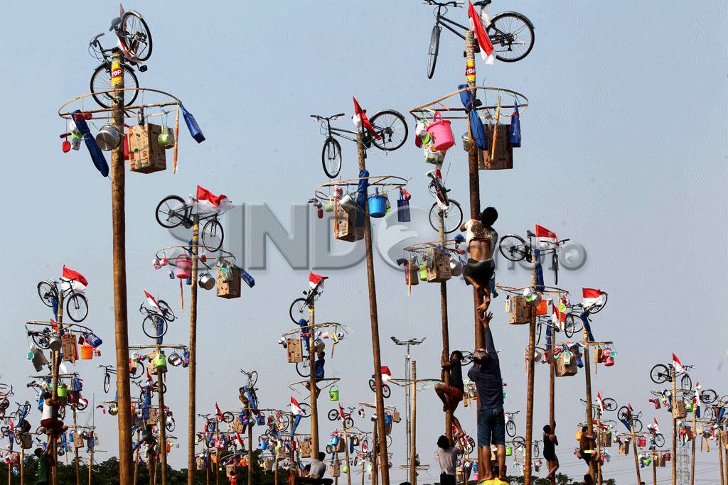 169 Pohon Pinang di...