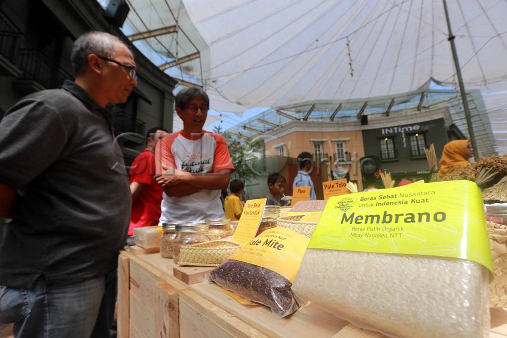 Festival Padi Nusantara...