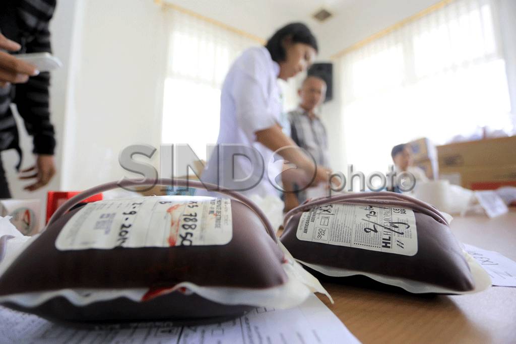 Korem 131/Santiago Berhasil...